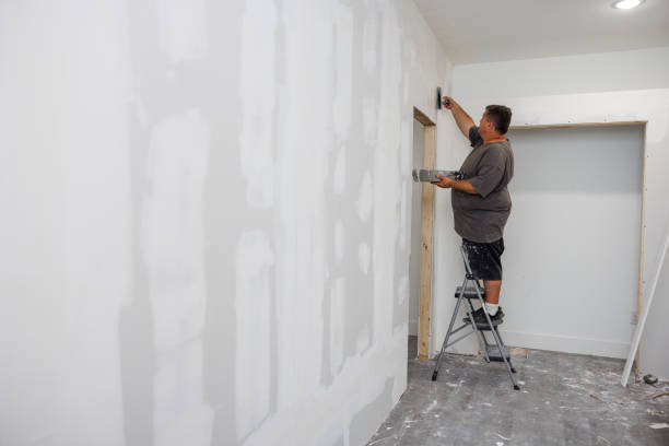 Best Mold Odor Removal Services  in USA